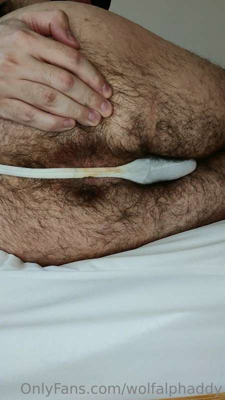 wolfalphaddy image #8