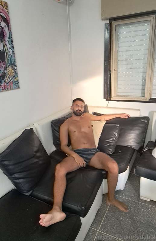 fedebal image #2