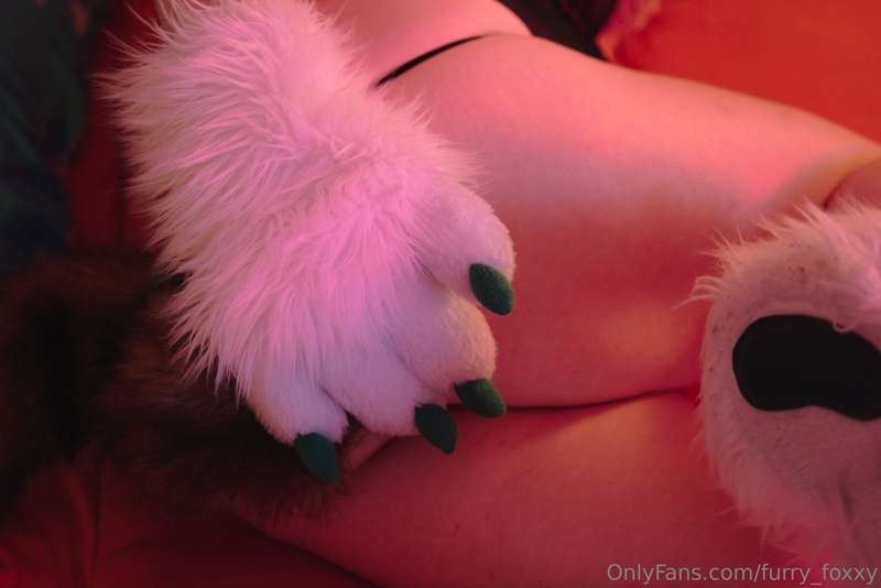 furry_foxxy