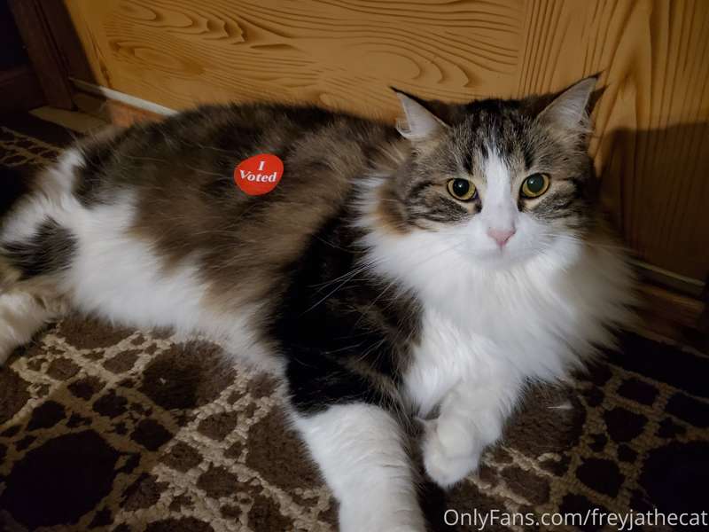 My other human did the thing too!