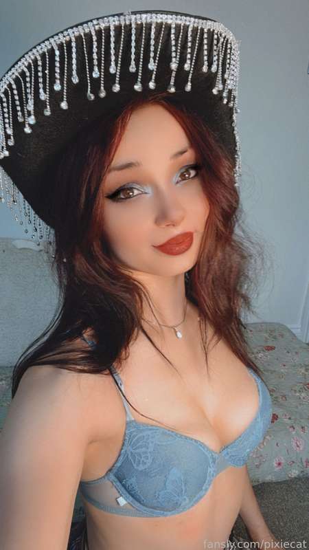pixiecat image #12