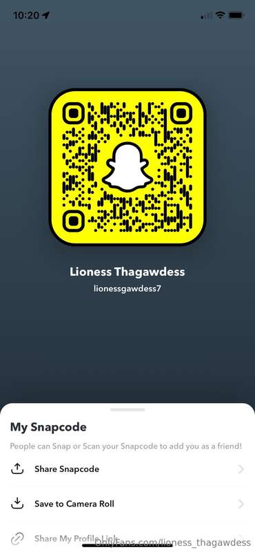 lioness_thagawdess