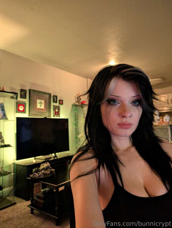bunnicrypt image #16