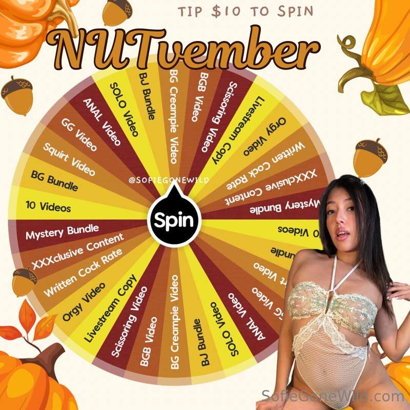 🍂November SPIN THE WHEEL🍂 it's time to try your luck for ALL..
