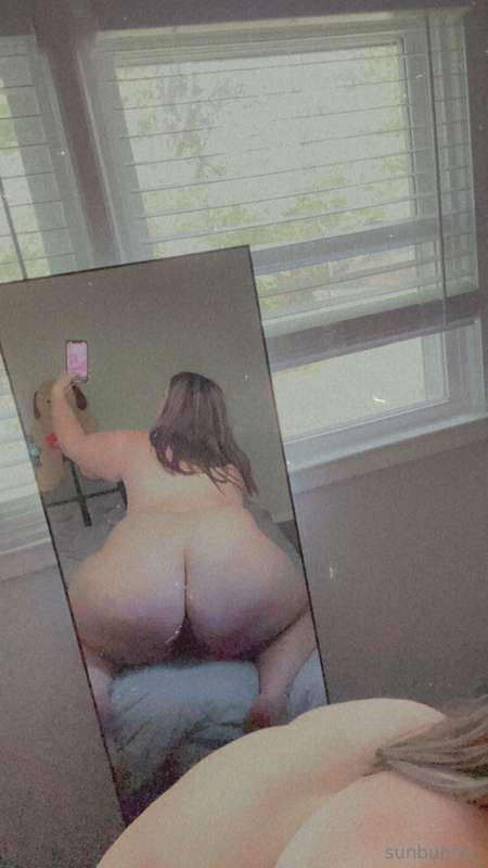pawgwithablog97