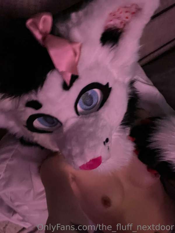 Giving those bedroom eyes, would you cuddle this little fox?