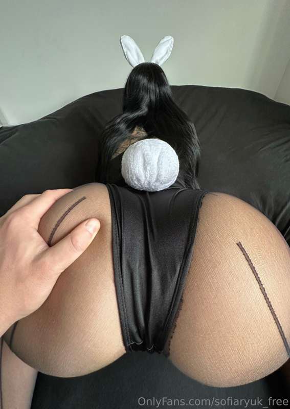 bg mai sakurajima 🐇 @sofiaryuk