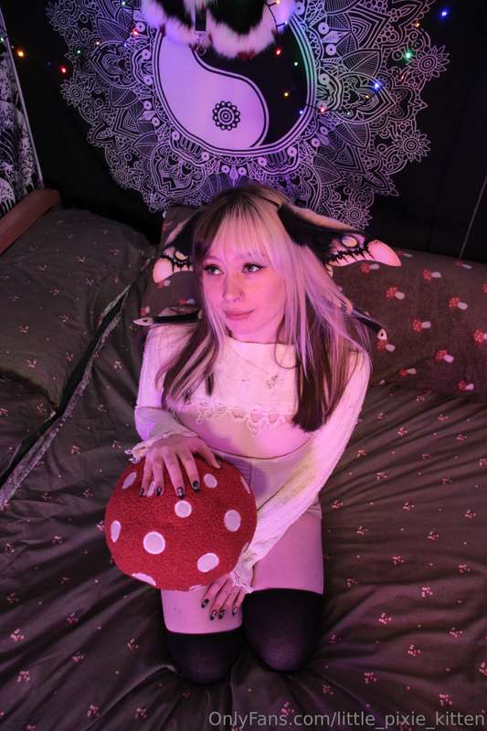 little_pixie_kitten image #0