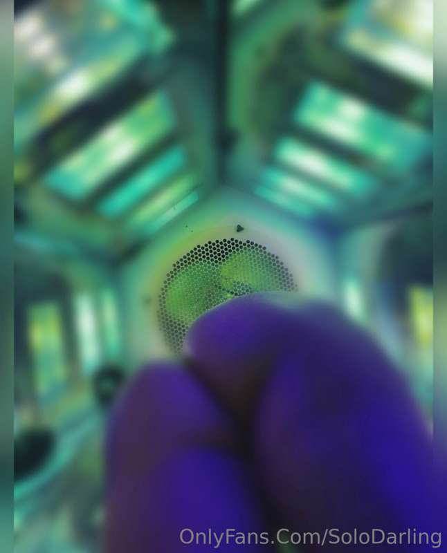 ✨🥵💦 two KILLER videos from this POV hitting your DMs!!! I’m ..