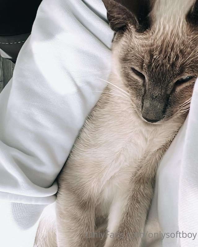 averysoftboy image #3