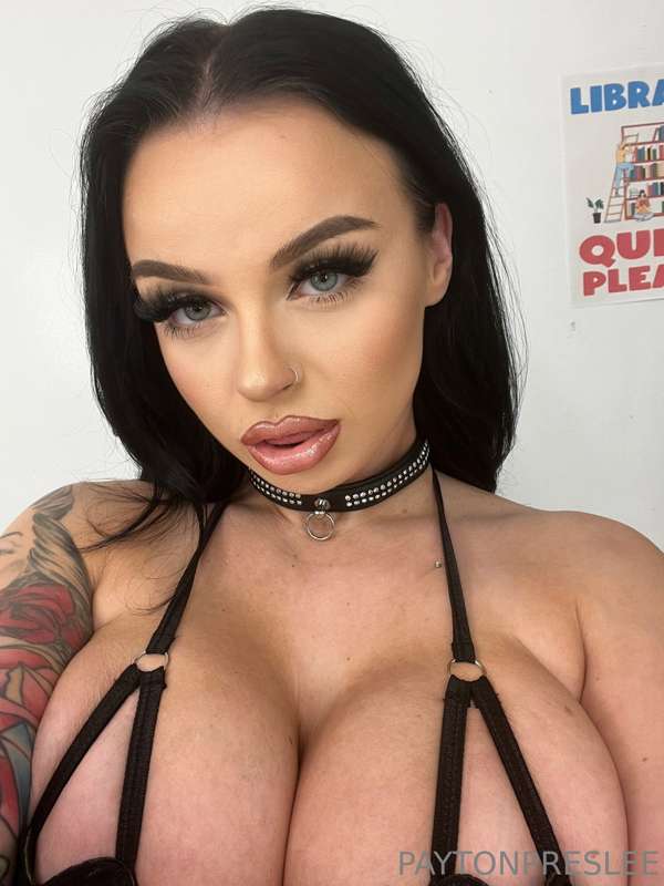 Foto 476 von Payton Preslee auf Tocromo