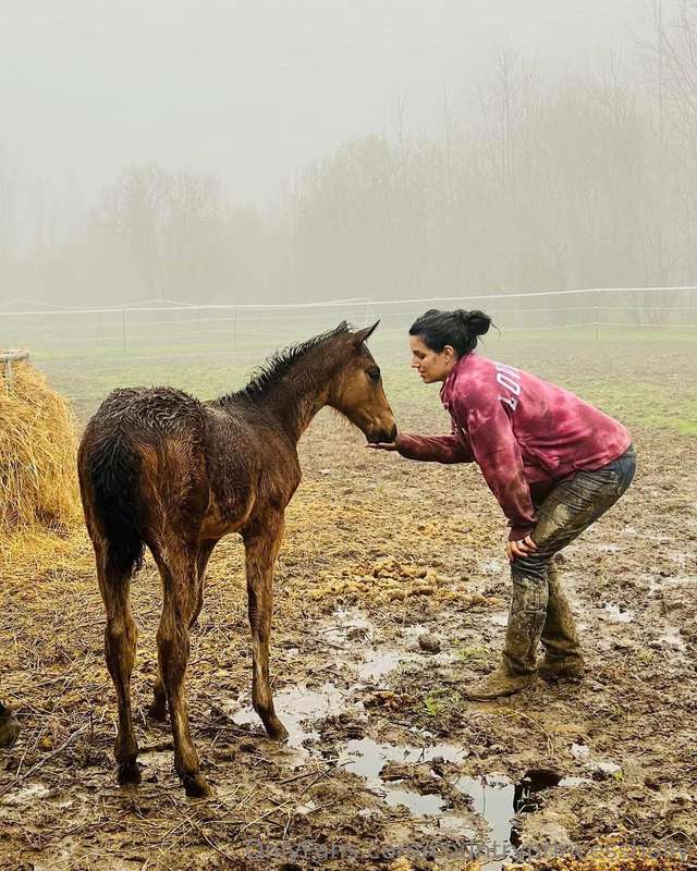 countryprincessholly