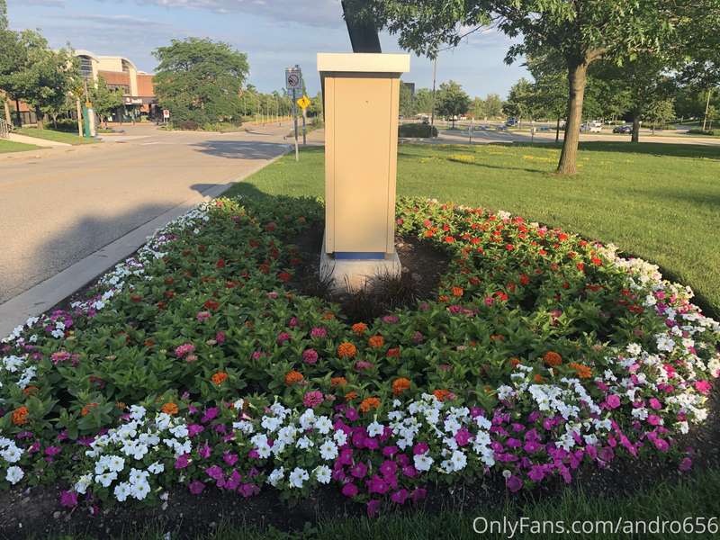 andro656 image #5
