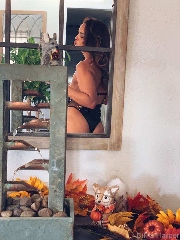 Foto 480 de Dillion Harper en Tocromo