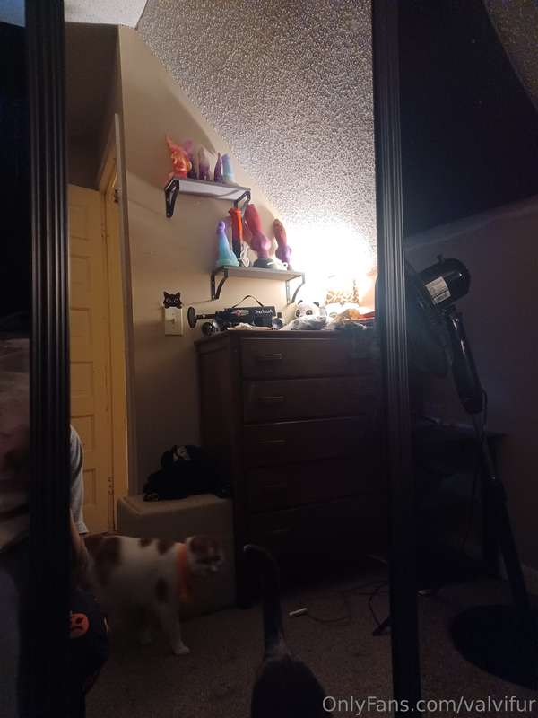 Got us a little something😏 a body mirror to stick my toys to..