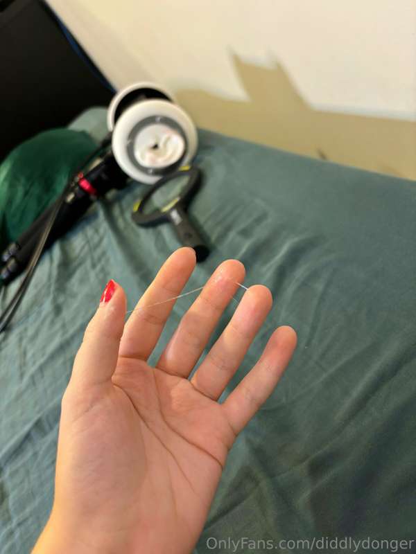 diddlydonger photo