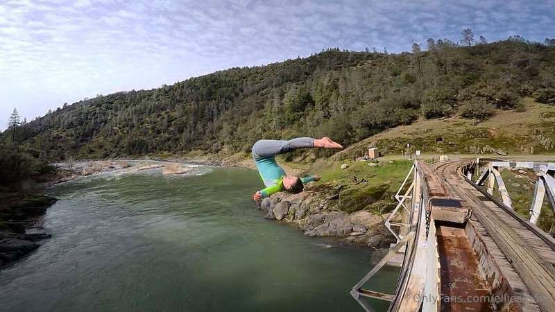 media