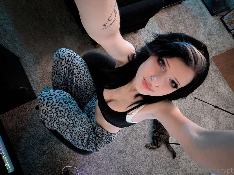 bunnicrypt image #3