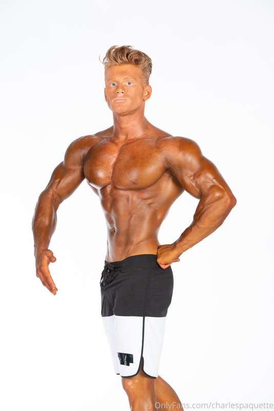 Shredded :D