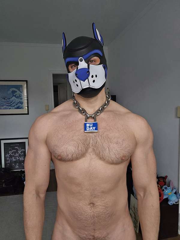 pupbuday