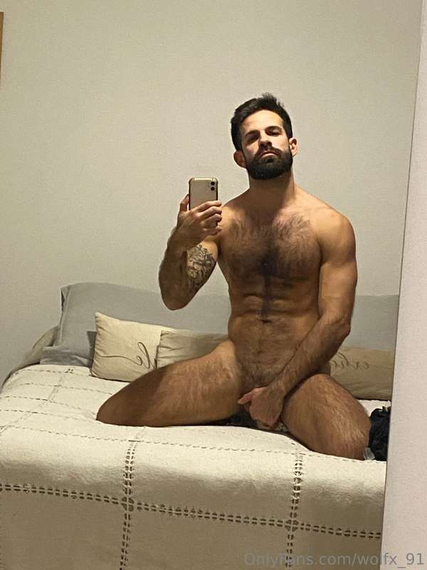 wolfx_91