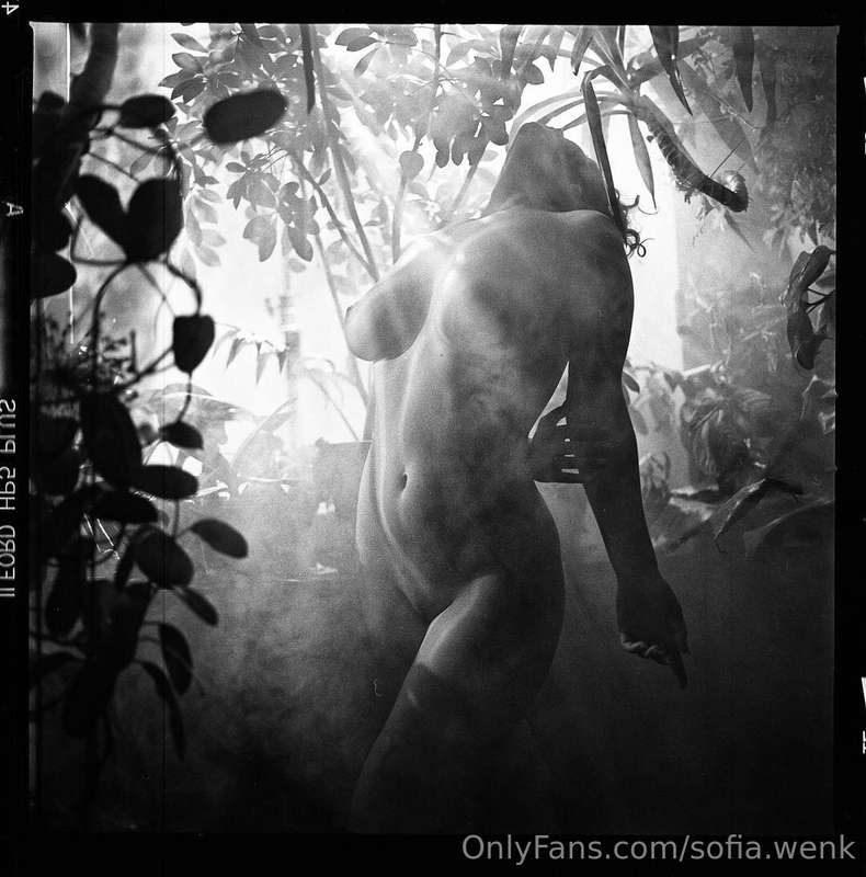 sofia.wenk