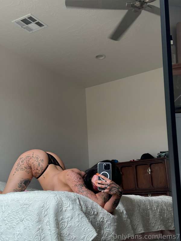 lems7 photo