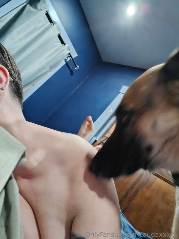 The doggos are just so demanding when I'm trying to be a slu..