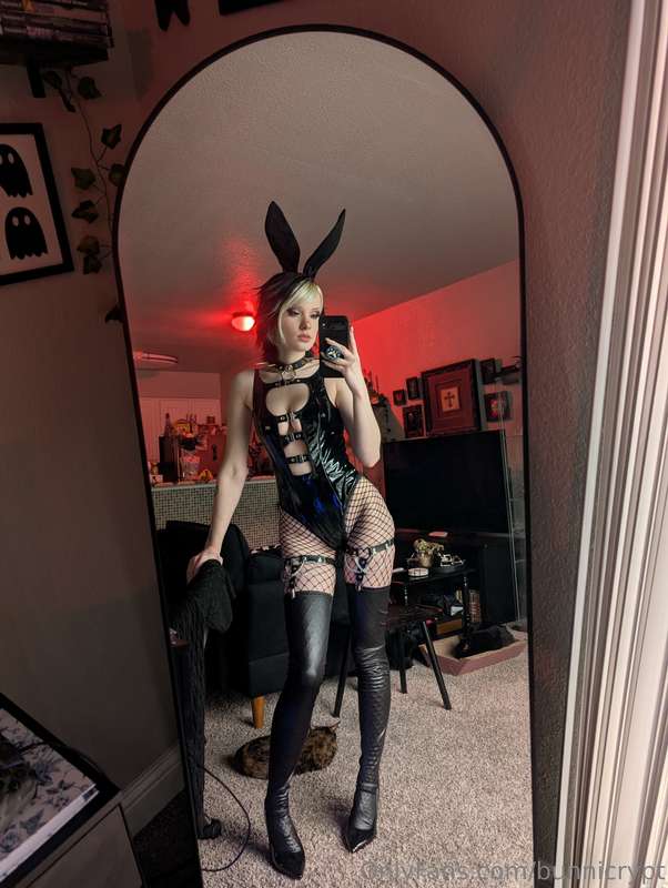 bunnicrypt image #6