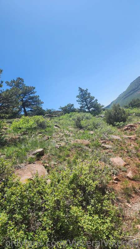Found a great hiking trail today. Not great for content crea..