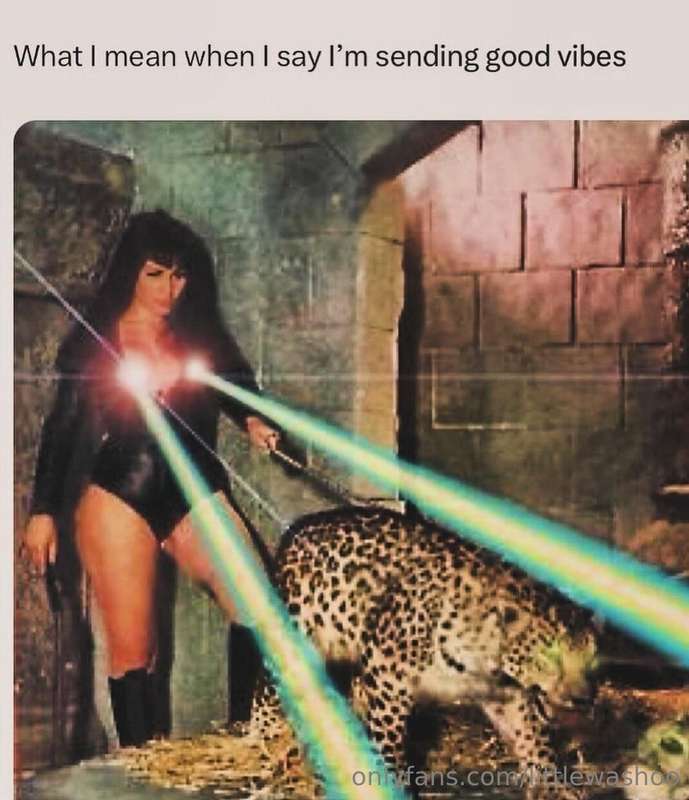 littlewashoo