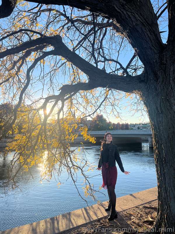 media