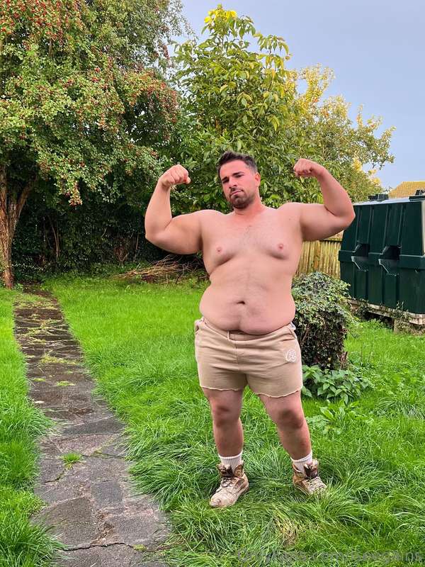 iseegains