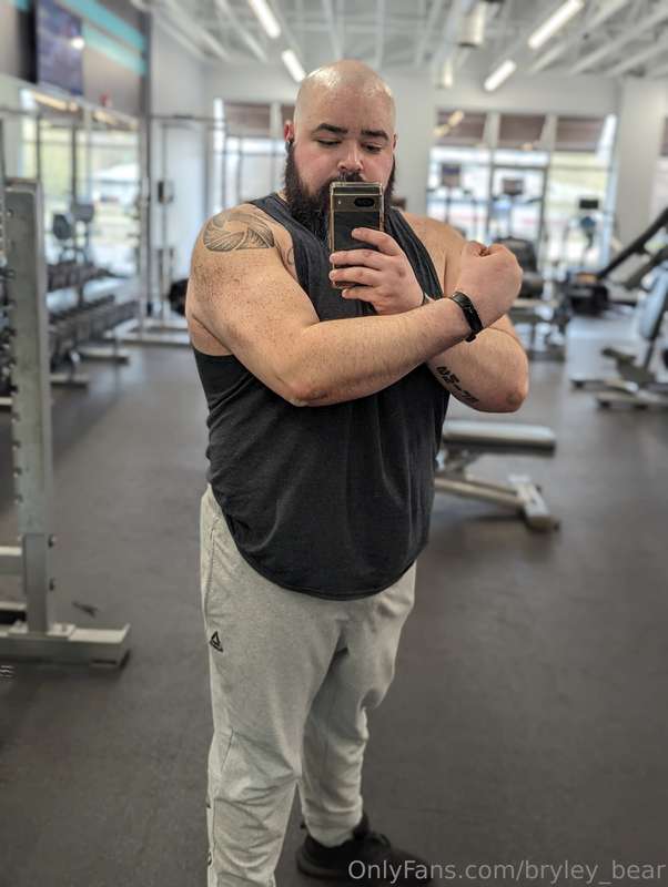 bryley_bear