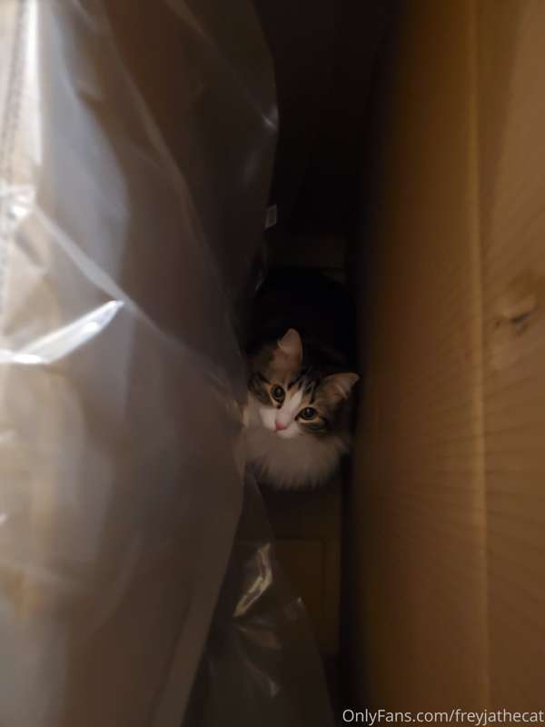Behold, my newest impenetrable fortress! It was even hand-de..