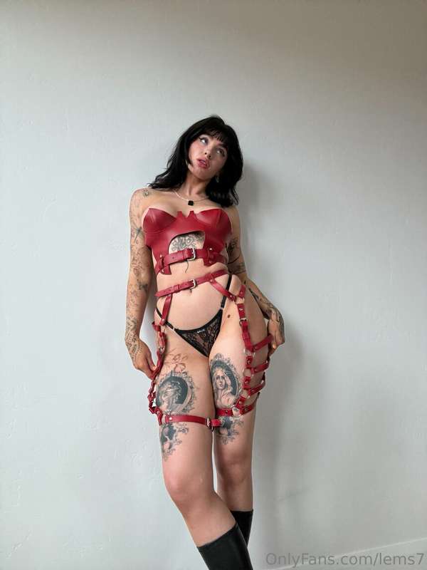 lems7 photo