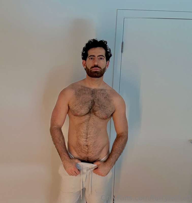 furryfarhad