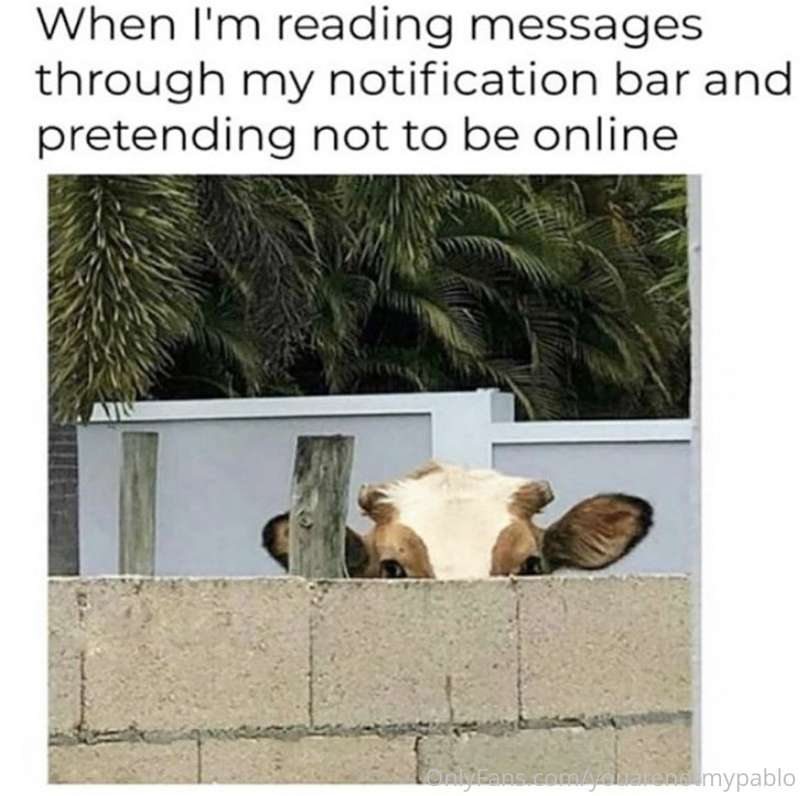 media