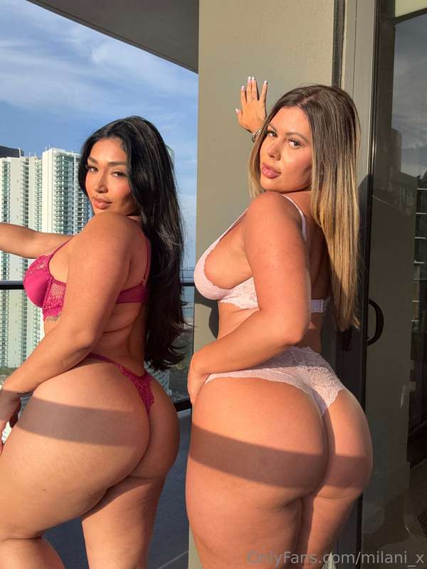 milani_x