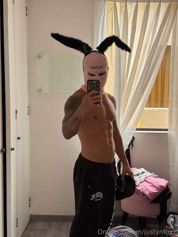 🐰