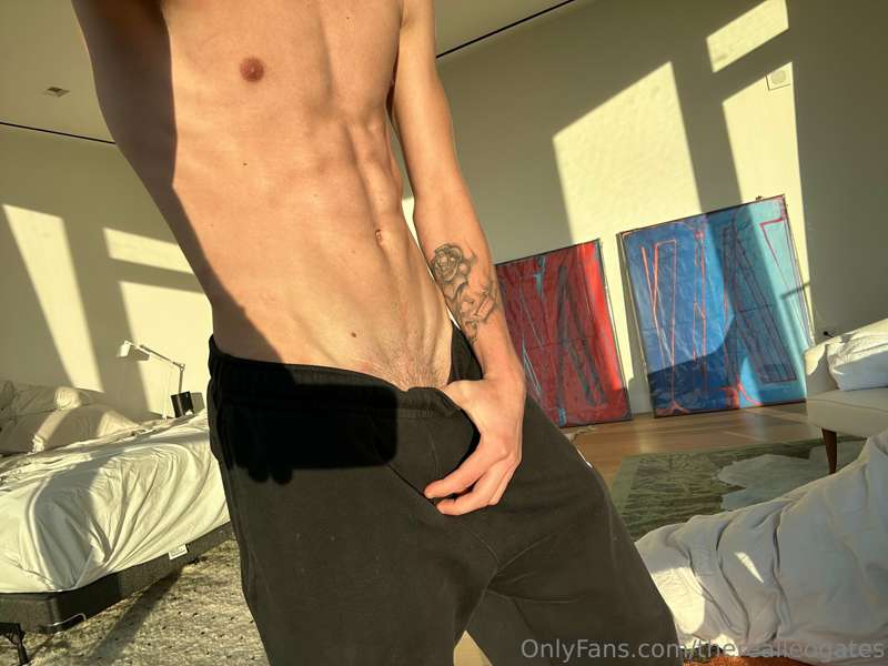 therealleogates image #0