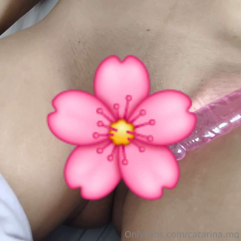 catarina.mq