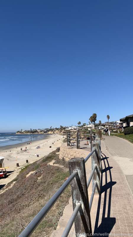 happy sunday! getting in a 6 mile beach walk as my workout t..