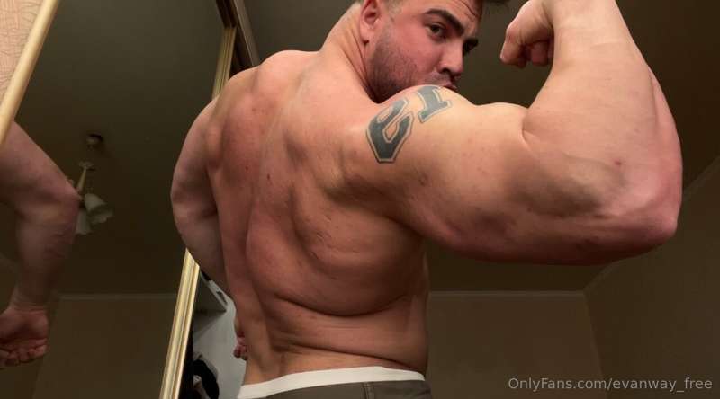 evanway_free image #1