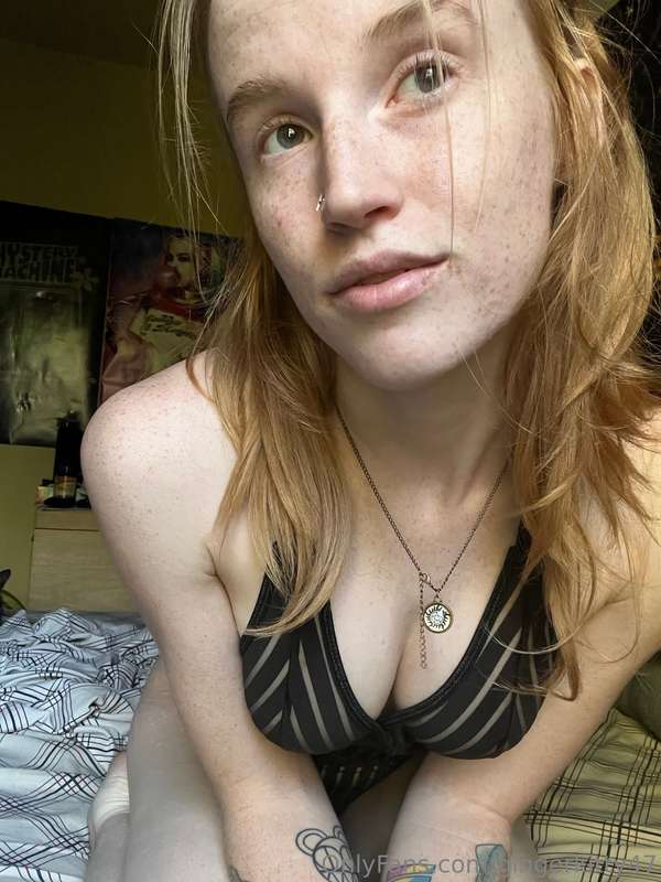 gingerkitty47 image #11