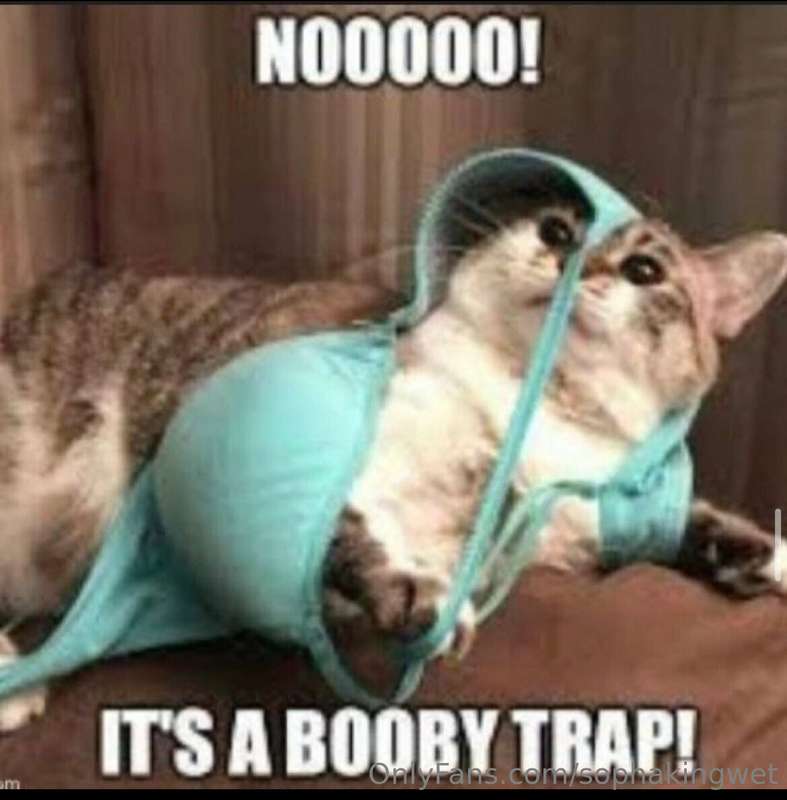 Oops! got you in my trap it seems 🤭 now you gotta see the ho..