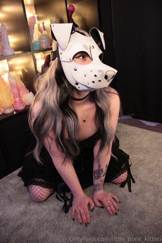 little_pixie_kitten image #15