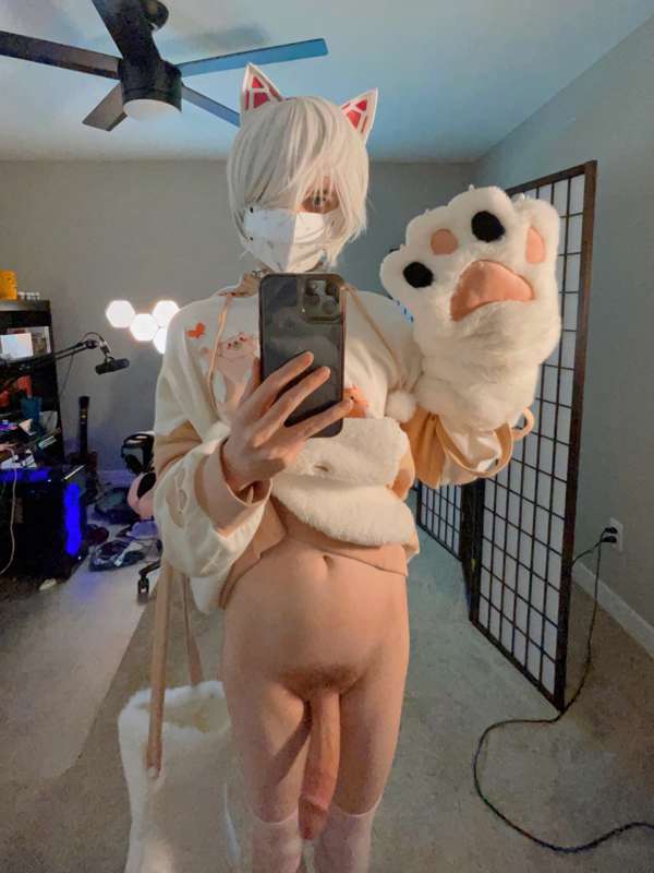 Cute kitty ready to play 😻 come rub my paws?