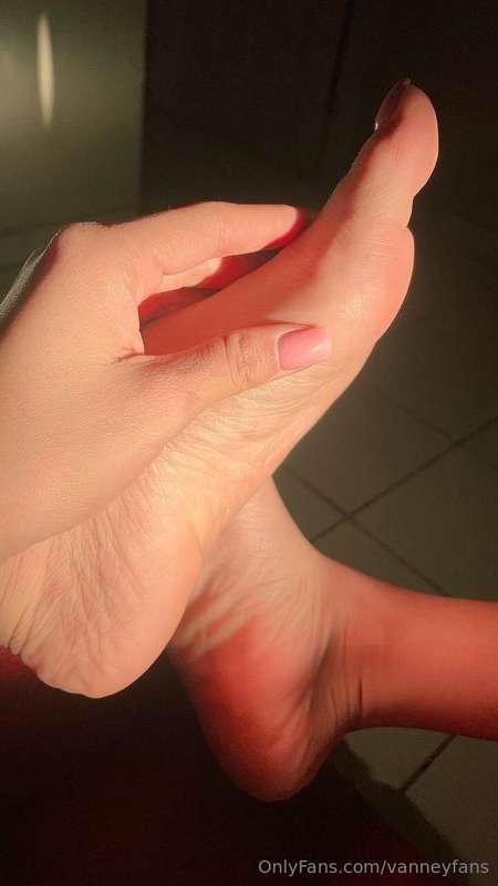 vanneyfans