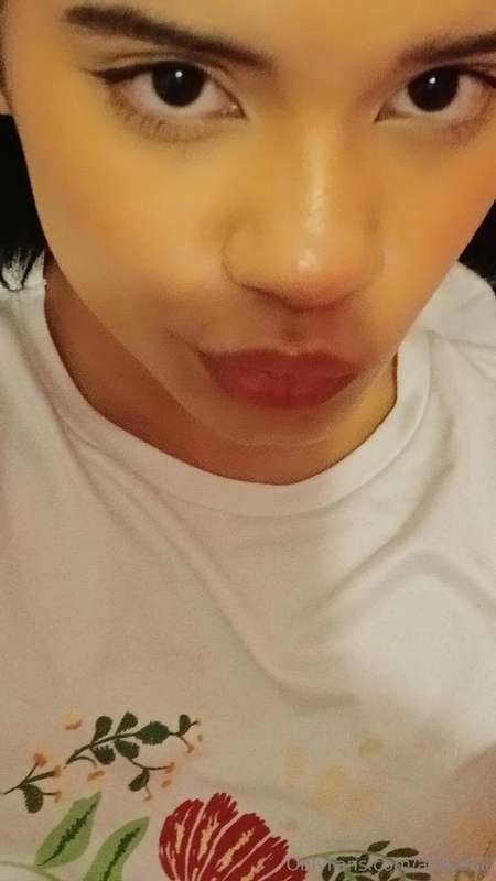 antodoll